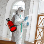 Pest Control for Residential Properties: A Comprehensive Guide