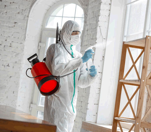 Pest Control for Residential Properties: A Comprehensive Guide